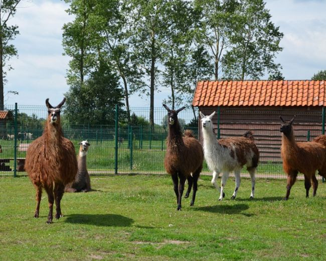 Attractions of the area